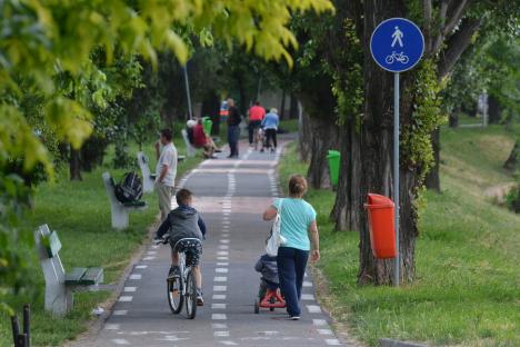 Oradea ieri, Oradea azi: De la prima pistă pentru bicicliști, la o rețea fragmentată (FOTO)