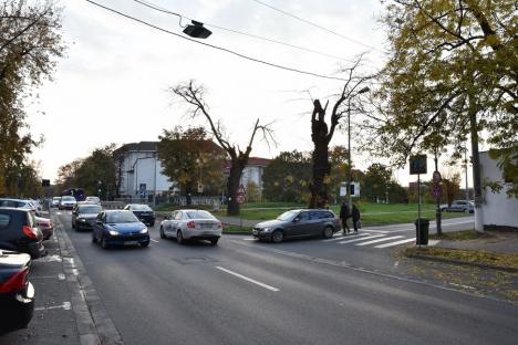 Au făcut-o lată! Lărgirea străzilor Armatei Române și Universității din Oradea se bazează pe un studiu de trafic mincinos și incomplet (FOTO) ​​​​​​​