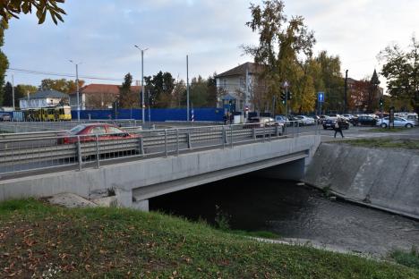 Au făcut-o lată! Lărgirea străzilor Armatei Române și Universității din Oradea se bazează pe un studiu de trafic mincinos și incomplet (FOTO) ​​​​​​​