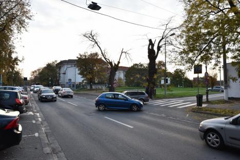 Au făcut-o lată! Lărgirea străzilor Armatei Române și Universității din Oradea se bazează pe un studiu de trafic mincinos și incomplet (FOTO) ​​​​​​​