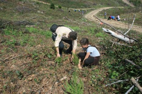 Împreună reîmpădurim Parcul Natural Apuseni! Elevi voluntari au plantat aproape 400 de molizi în Munţii Apuseni (FOTO/VIDEO)