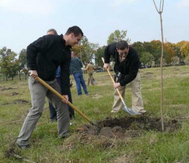 Municipalitatea va înlocui arborii plantaţi în toamnă care s-au uscat
