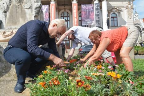 Voluntariat. 20 de orădeni au plantat flori în piaţa Ferdinand într-o acţiune de înfrumuseţare a oraşului (FOTO / VIDEO)