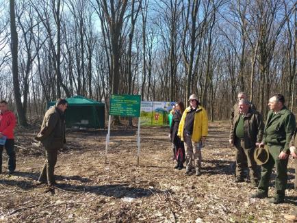 Luna plantării arborilor: Direcţia Silvică Bihor va împăduri 173 de hectare, în această primăvară (FOTO)