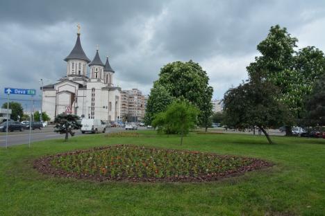 42.000 de flori pentru Oradea (FOTO)