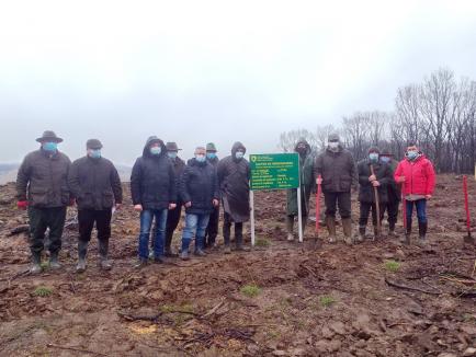 Luna plantării arborilor: 200 de hectare de păduri din Bihor vor fi împădurite în următoarea lună (FOTO)