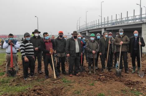 Viceprimarul Marcel Dragoş a plantat arbori pe marginea şoselei de centură în zona Pieţei 100 (FOTO)