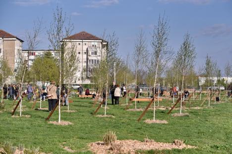 Plantați de dor: Oradea are o mini-pădure în memoria unor oameni dragi, trecuți în neființă (FOTO)