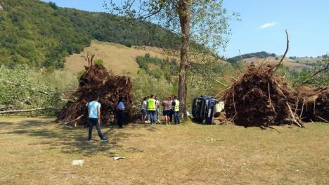 Şeful ISU Crişana: 'La Bulz, plopii au căzut ca un castel de cărţi' (FOTO)