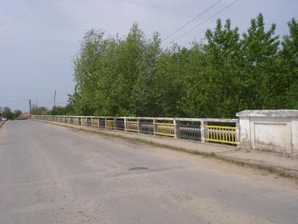 Localnicii se plâng că podul din Tăut este 'într-o situaţie jalnică'. Ce spun autorităţile (FOTO)