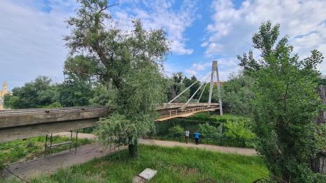 Grăbește-te încet! De ce se mișcă cu încetinitorul lucrările la Podul Intelectualilor din Oradea (FOTO)