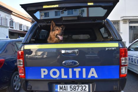 Şefa Poliţiei Animalelor din Bihor: 'Un animal ţi-l asumi pentru toată viaţa lui'