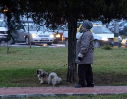 Atenţie, fac pânde! Poliţia Locală vânează proprietarii de câini care nu adună mizeria după ei