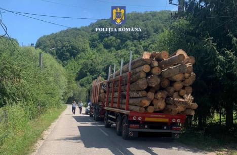 Mişmaşuri cu lemne, descoperite de poliţiştii din Bihor. Cum i-au sancţionat pe făptaşi (FOTO)