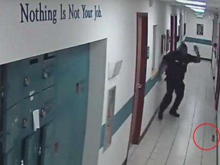 Viral: Cum arată un poliţist speriat de un şoarece (VIDEO)