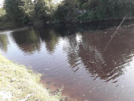 Poluare pe Crişul Negru: Aproape 15.000 de litri de caramel au ajuns în râu, după o avarie la fabrica de bere European Food (FOTO)