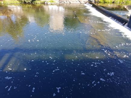 Poluare pe Crişul Repede, în centrul Oradiei: O spumă suspectă a apărut pe cursul râului (FOTO)