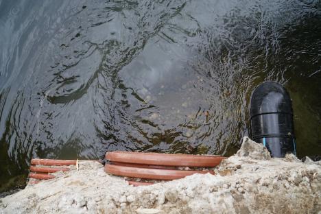 Poluare cu apă murdară în Crișul Repede, în Oradea. Autoritățile caută sursa (FOTO)