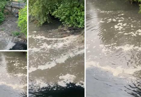 Poluare pe Crişul Repede, din cauza unei avarii la reţeaua de canalizare menajeră: Garda de Mediu a cerut intervenţia Companiei de Apă şi ABA Crişuri (FOTO/VIDEO)