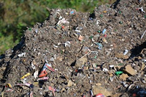 Gunoaie de oameni: Firma de salubritate a Primăriei Aleşd a aruncat 200 tone de deşeuri în mijlocul naturii (FOTO/VIDEO)