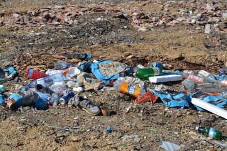 Gunoaie de oameni: Firma de salubritate a Primăriei Aleşd a aruncat 200 tone de deşeuri în mijlocul naturii (FOTO/VIDEO)