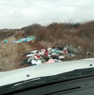 Poftim civilizaţie! Drumurile de la marginea satului Tămașda, pline de gunoaie (FOTO / VIDEO)