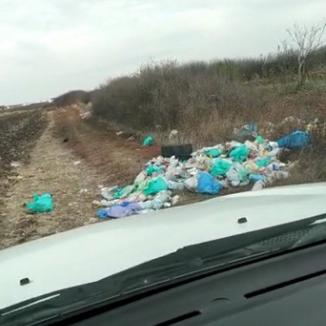 Poftim civilizaţie! Drumurile de la marginea satului Tămașda, pline de gunoaie (FOTO / VIDEO)