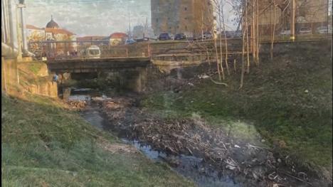 Poluare pe pârâul Adona din Oradea! Apă cu sedimente, miros puternic şi spumă în dreptul depoului de tramvaie OTL (FOTO / VIDEO)