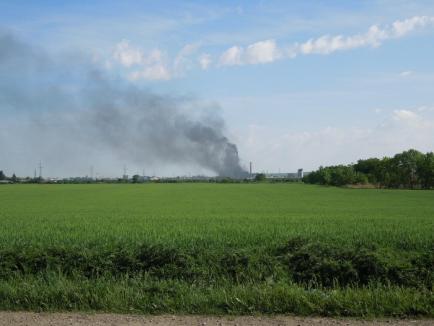 Vinerea neagră la CET: Centrala împrăştie fum dens peste Oradea (FOTO/VIDEO)