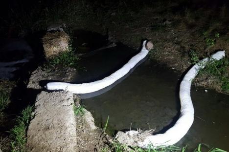 Borhot în apă: Fabrica de băuturi a fraţilor Micula a provocat o poluare pe un afluent al Crişului Negru