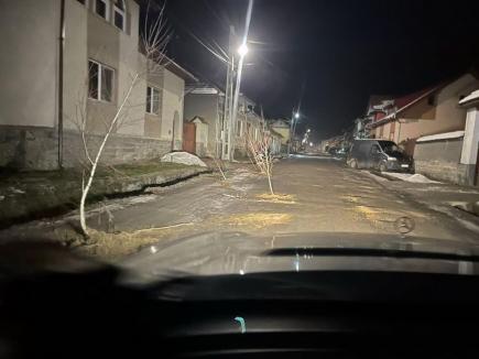 Protest inedit într-o comună din Bihor: un şofer a plantat peste noapte pomi în fiecare groapă din şosea (FOTO / VIDEO)