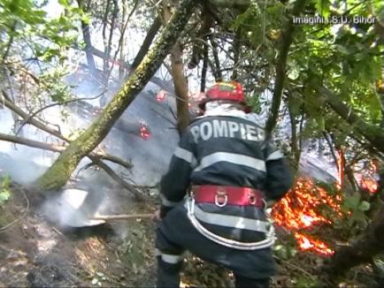 Incendiu uriaş la o pădure de conifere din Retezat