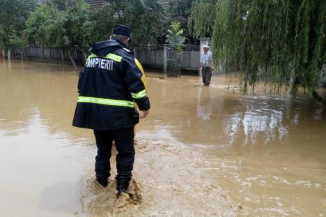 Ploile torenţiale au inundat mai multe curţi din Bihor. Un cioban şi 50 de oi au rămas izolaţi pe o insuliţă, lângă Săcuieni