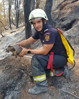 „Mulțumim, Grecia!”. Pompierii români, impresionați de un băieţel care le-a adus plăcinte și porumb fiert (FOTO)
