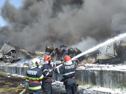 Incendiul de la depozitul de deşeuri din Salonta a fost stins după 10 ore!