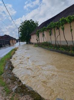 Ploile au provocat inundaţii în Bihor. Pompierii, chemaţi să evacueze apa din pivnițe într-o localitate (FOTO/VIDEO)