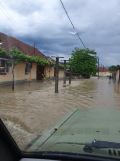 Ploile au provocat inundaţii în Bihor. Pompierii, chemaţi să evacueze apa din pivnițe într-o localitate (FOTO/VIDEO)