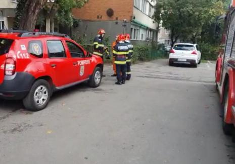 Tragedie în Oradea: O femeie a murit, iar alta a fost găsită inconștientă într-un apartament de pe Bulevardul Dacia (VIDEO)