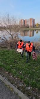 O lebădă rănită a fost salvată de pompierii din Oradea. A fost predată unei asociații care protejează păsările (FOTO)