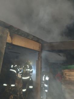 Incendiu la o gospodărie din Salonta, din cauza jarului nestins (FOTO)