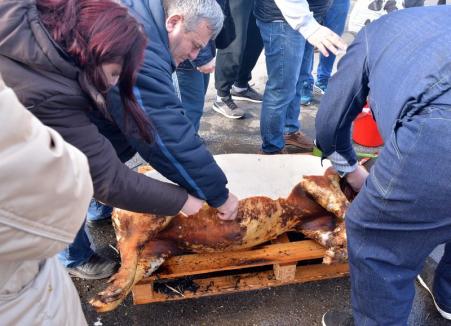 Bihorel: Şapte posibile locaţii pentru festivalul D’ale Porcului