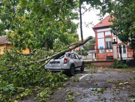 Potop peste Oradea: Super-furtuna care a devastat orașul lasă nerezolvată problema daunelor și a despăgubirilor (FOTO)