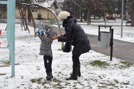 Zăpadă la Oradea: Utilajele RER au ieşit pe străzile din Urgenţa 1. Meteorologii spun că va continua să ningă (FOTO)