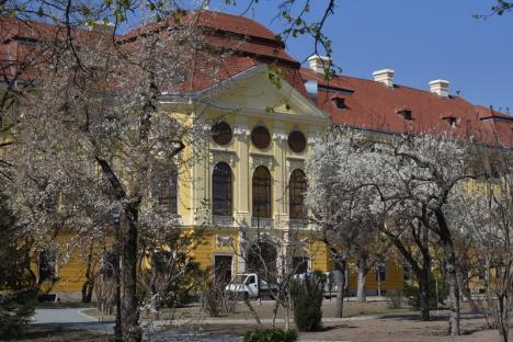 GALERIE FOTO: Primăvara în Oradea. Au înflorit magnoliile, parcurile sunt tot mai colorate