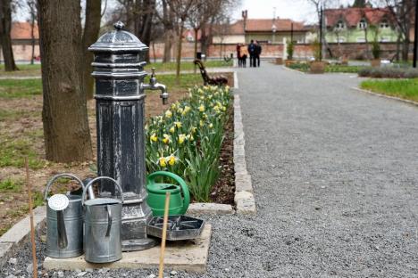 A venit primăvara! Oradea s-a umplut de culoare şi mireasmă (FOTO)