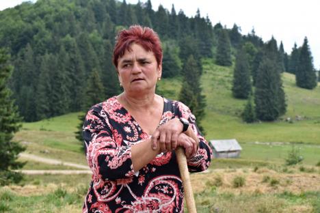 Nu doar puşca e soluţia: Ciobanii din Bihor ţin urşii şi lupii la depărtare folosind câini şi garduri electrice (FOTO / VIDEO)