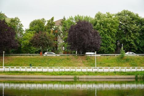 Oradea ieri, Oradea azi: Nu demult, malurile Crișului erau neprietenoase cu plimbăreții. Cum sunt azi? (FOTO)