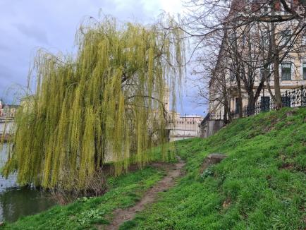 Încep lucrările la promenada de sub Podul Sf. Ladislau din Oradea, care va avea ferestre subacvatice. Cum va arăta zona la final (FOTO)