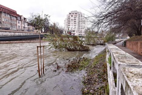 Se retrag apele: Promenada din Oradea este din nou practicabilă (FOTO)