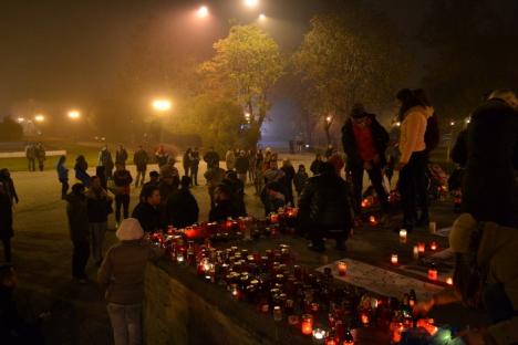 Protest îndoliat, sâmbătă seara, în Parcul 1 Decembrie (FOTO)